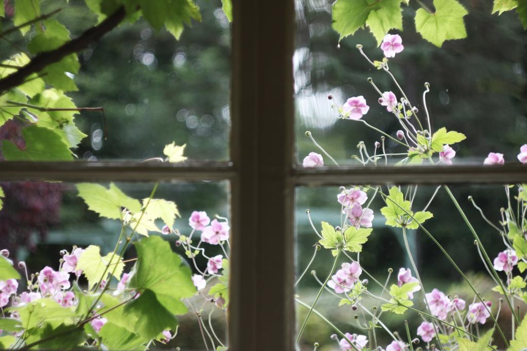 The Dower House Muir of Ord Quarto foto
